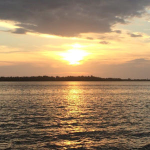 Meet your Posher, Cassie